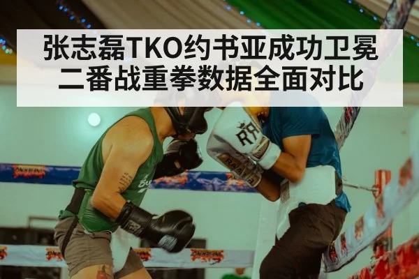 张志磊TKO约书亚成功卫冕 二番战重拳数据全面对比