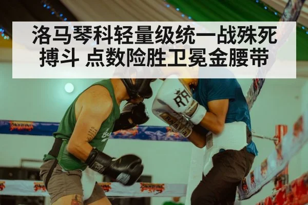 洛马琴科轻量级统一战殊死搏斗 点数险胜卫冕金腰带