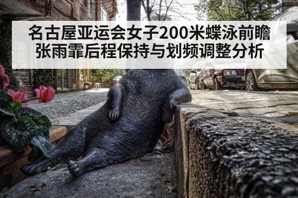 名古屋亚运会女子200米蝶泳前瞻 张雨霏后程保持与划频调整分析